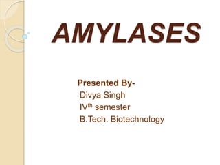 AMYLASES
Presented By-
Divya Singh
IVth semester
B.Tech. Biotechnology
 