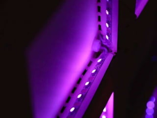 LEDs Are Awesome - Amy Lee / ANI - CODAME