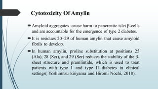 Cytotoxicity Of Amylin
Amyloid aggregates cause harm to pancreatic islet β-cells
and are accountable for the emergence of type 2 diabetes.
It is residues 20–29 of human amylin that cause amyloid
fibrils to develop.
In human amylin, proline substitution at positions 25
(Ala), 28 (Ser), and 29 (Ser) reduces the stability of the β-
sheet structure and pramlintide, which is used to treat
patients with type 1 and type II diabetes in clinical
settings( Yoshimitsu kiriyama and Hiromi Nochi, 2018).
 