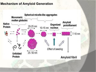 Amyloid induction and inhibition | PPTX