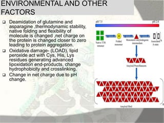Amyloid induction and inhibition | PPTX