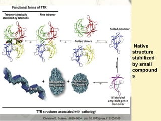 Amyloid induction and inhibition | PPTX