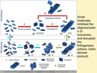 Amyloid induction and inhibition | PPTX