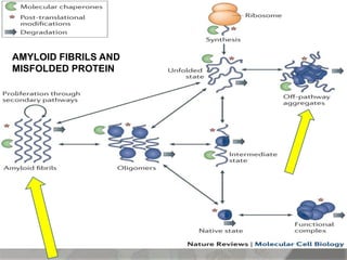Amyloid induction and inhibition | PPTX