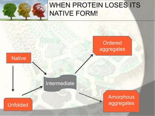 Amyloid induction and inhibition | PPTX