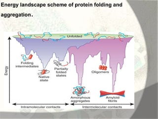 Amyloid induction and inhibition | PPTX