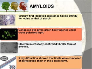 Amyloid induction and inhibition | PPTX
