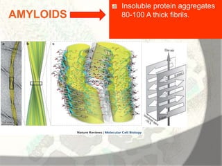 Amyloid induction and inhibition | PPTX
