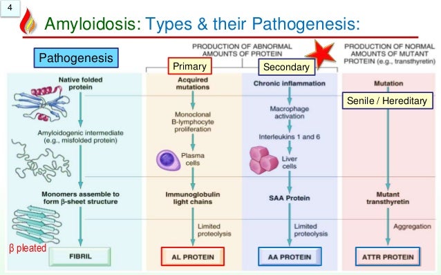 Amyloidosis