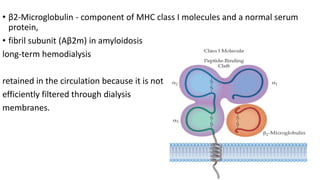 • β2-Microglobulin - component of MHC class I molecules and a normal serum
protein,
• fibril subunit (Aβ2m) in amyloidosis
long-term hemodialysis
retained in the circulation because it is not
efficiently filtered through dialysis
membranes.
 