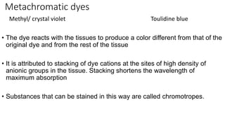 Metachromatic dyes
Methyl/ crystal violet Toulidine blue
• The dye reacts with the tissues to produce a color different from that of the
original dye and from the rest of the tissue
• It is attributed to stacking of dye cations at the sites of high density of
anionic groups in the tissue. Stacking shortens the wavelength of
maximum absorption
• Substances that can be stained in this way are called chromotropes.
 