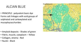 ALCIAN BLUE
• PRINCIPLE : polyvalent basic dye
Forms salt linkages with acid groups of
sulphated and carboxylated acid
mucoploysaccharides
• Amyloid deposits - Shades of green
• Fibrin, muscle, cytoplasm – Yellow
• Collagen, stroma - Red
• Nuclei - Black
 
