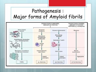 Pathogenesis :
Major forms of Amyloid fibrils
 