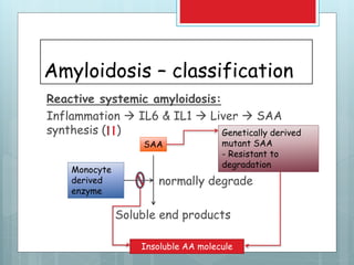 Amyloidosis – classification
Reactive systemic amyloidosis:
Inflammation  IL6 & IL1  Liver  SAA
synthesis ( )
normally degrade
Soluble end products
Monocyte
derived
enzyme
SAA
Genetically derived
mutant SAA
- Resistant to
degradation
Insoluble AA molecule
 