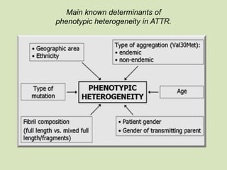 Main known determinants of
phenotypic heterogeneity in ATTR.
 