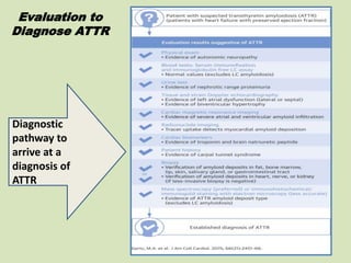 Evaluation to
Diagnose ATTR
Diagnostic
pathway to
arrive at a
diagnosis of
ATTR
 