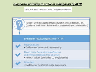 Diagnostic pathway to arrive at a diagnosis of ATTR
 
