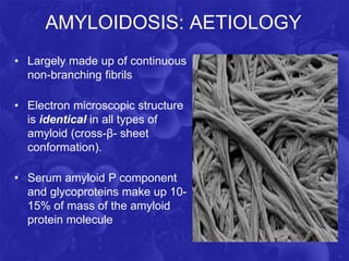 AMYLOIDOSIS: AETIOLOGY
• Largely made up of continuous
non-branching fibrils
• Electron microscopic structure
is identical in all types of
amyloid (cross-β- sheet
conformation).
• Serum amyloid P component
and glycoproteins make up 10-
15% of mass of the amyloid
protein molecule
 