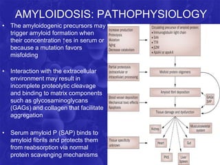 AMYLOIDOSIS: PATHOPHYSIOLOGY
• The amyloidogenic precursors may
trigger amyloid formation when
their concentration ↑es in serum or
because a mutation favors
misfolding
• Interaction with the extracellular
environment may result in
incomplete proteolytic cleavage
and binding to matrix components
such as glycosaminoglycans
(GAGs) and collagen that facilitate
aggregation
• Serum amyloid P (SAP) binds to
amyloid fibrils and protects them
from reabsorption via normal
protein scavenging mechanisms
 