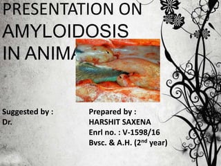 PRESENTATION ON
AMYLOIDOSIS
IN ANIMALS
Suggested by :
Dr.
Prepared by :
HARSHIT SAXENA
Enrl no. : V-1598/16
Bvsc. & A.H. (2nd year)
 