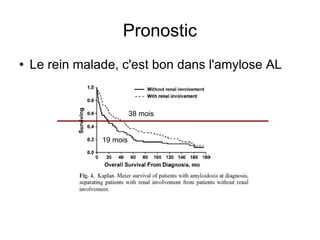Pronostic Le rein malade, c'est bon dans l'amylose AL 38 mois 19 mois 