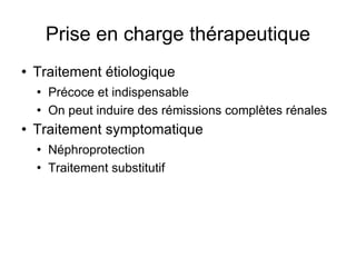 Prise en charge thérapeutique Traitement étiologique Précoce et indispensable On peut induire des rémissions complètes rénales Traitement symptomatique Néphroprotection Traitement substitutif 