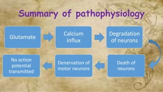 Summary of pathophysiology
Glutamate
Calcium
influx
Degradation
of neurons
Death of
neurons
Denervation of
motor neurons
No action
potential
transmitted
 