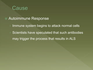  Autoimmune Response
› Immune system begins to attack normal cells
› Scientists have speculated that such antibodies
may trigger the process that results in ALS
 