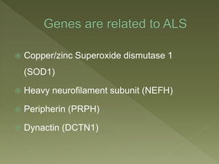  Copper/zinc Superoxide dismutase 1
(SOD1)
 Heavy neurofilament subunit (NEFH)
 Peripherin (PRPH)
 Dynactin (DCTN1)
 
