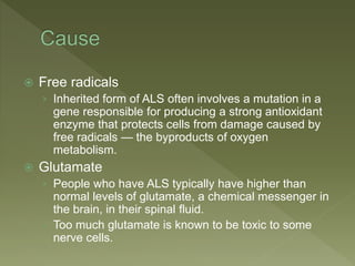  Free radicals
› Inherited form of ALS often involves a mutation in a
gene responsible for producing a strong antioxidant
enzyme that protects cells from damage caused by
free radicals — the byproducts of oxygen
metabolism.
 Glutamate
› People who have ALS typically have higher than
normal levels of glutamate, a chemical messenger in
the brain, in their spinal fluid.
› Too much glutamate is known to be toxic to some
nerve cells.
 