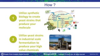 9/24/2016 September 2016Supply Chain Insights Global Summit #Imagine2030
How ?
1
Utilize synthetic
biology to create
yeast strains that
produce your
molecule
2
Utilize yeast strains
in industrial scale
fermentation to
produce your high
value chemicals
Copyright © Amyris, Inc. All rights reserved
 