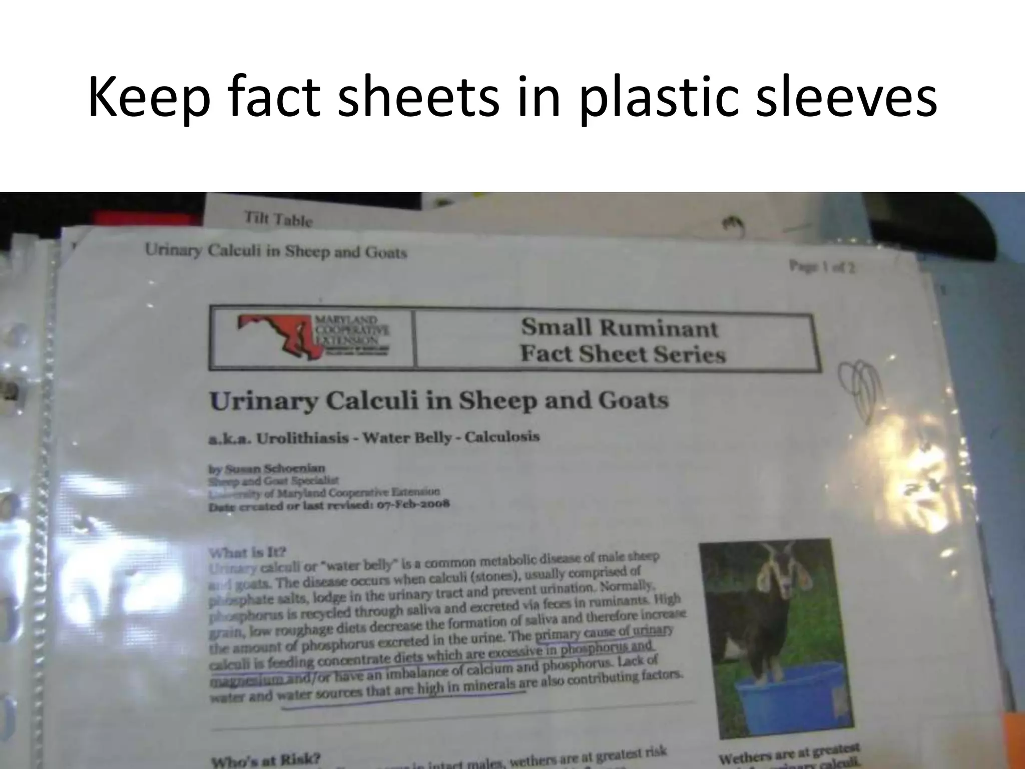 Keep fact sheets in plastic sleeves
 