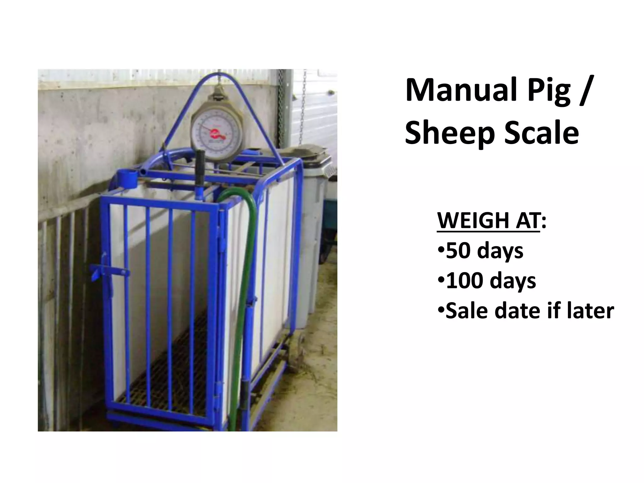 Manual Pig /
Sheep Scale
WEIGH AT:
•50 days
•100 days
•Sale date if later
 