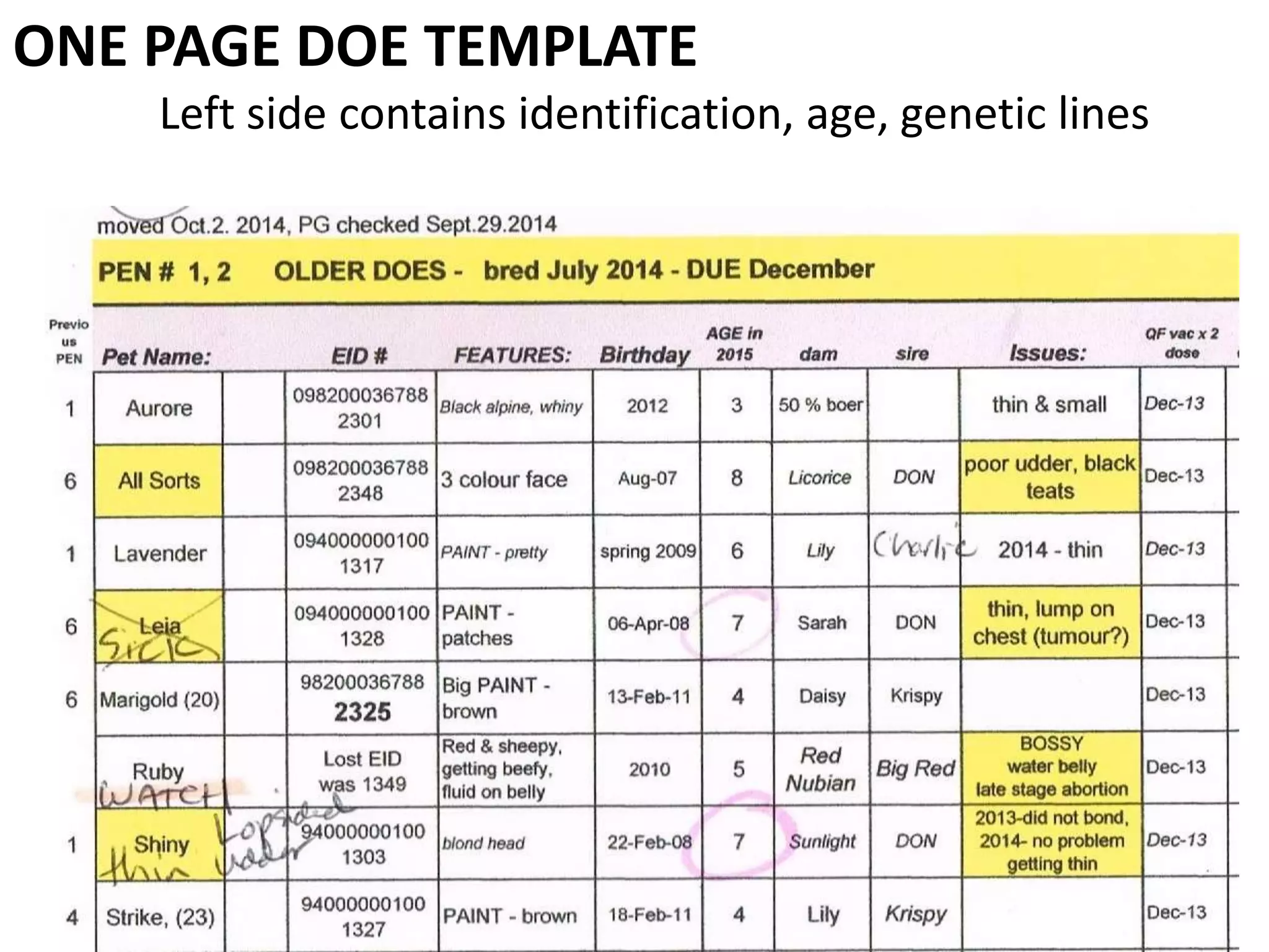 ONE PAGE DOE TEMPLATE
Left side contains identification, age, genetic lines
 