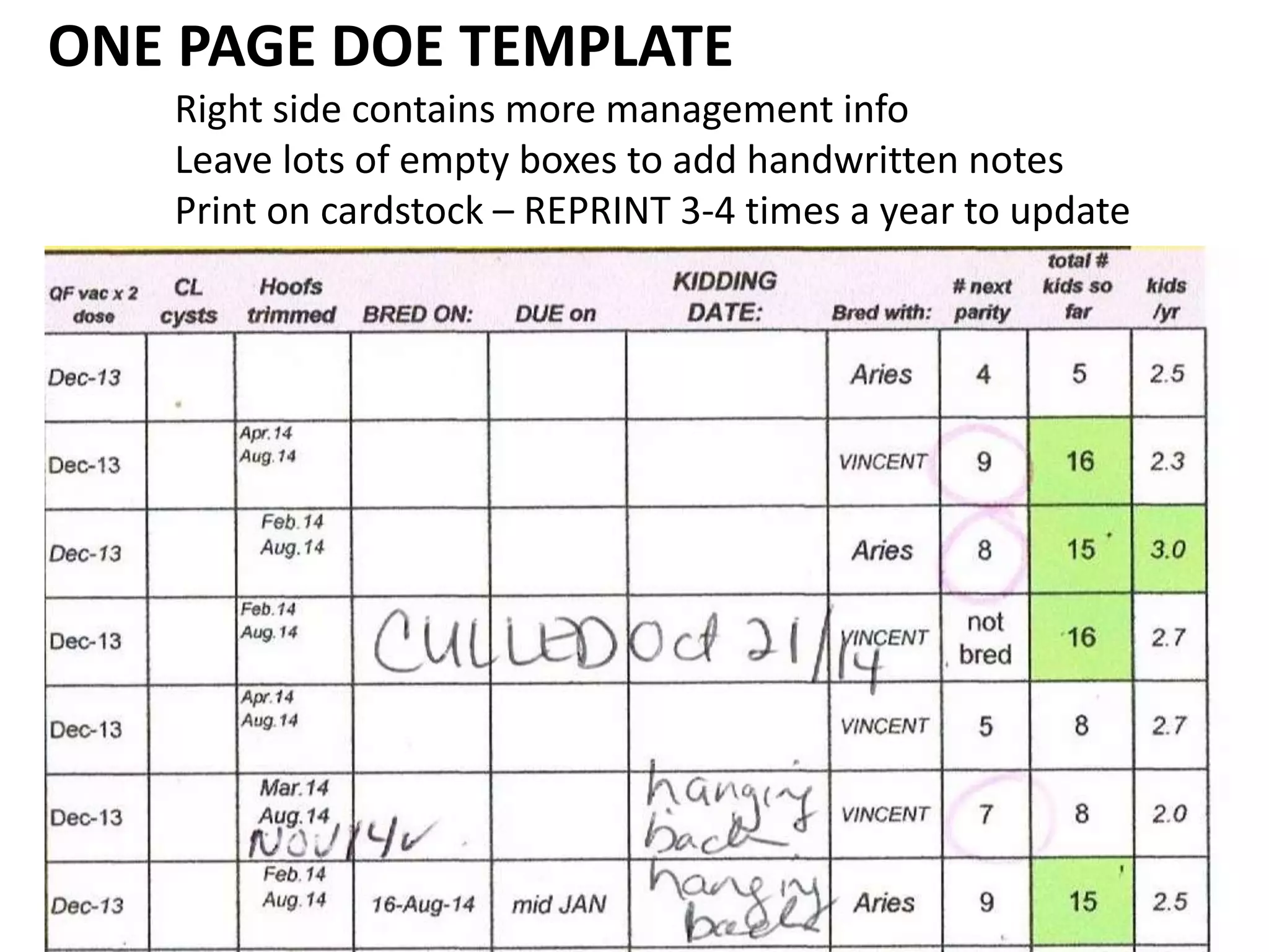 ONE PAGE DOE TEMPLATE
Right side contains more management info
Leave lots of empty boxes to add handwritten notes
Print on cardstock – REPRINT 3-4 times a year to update
 