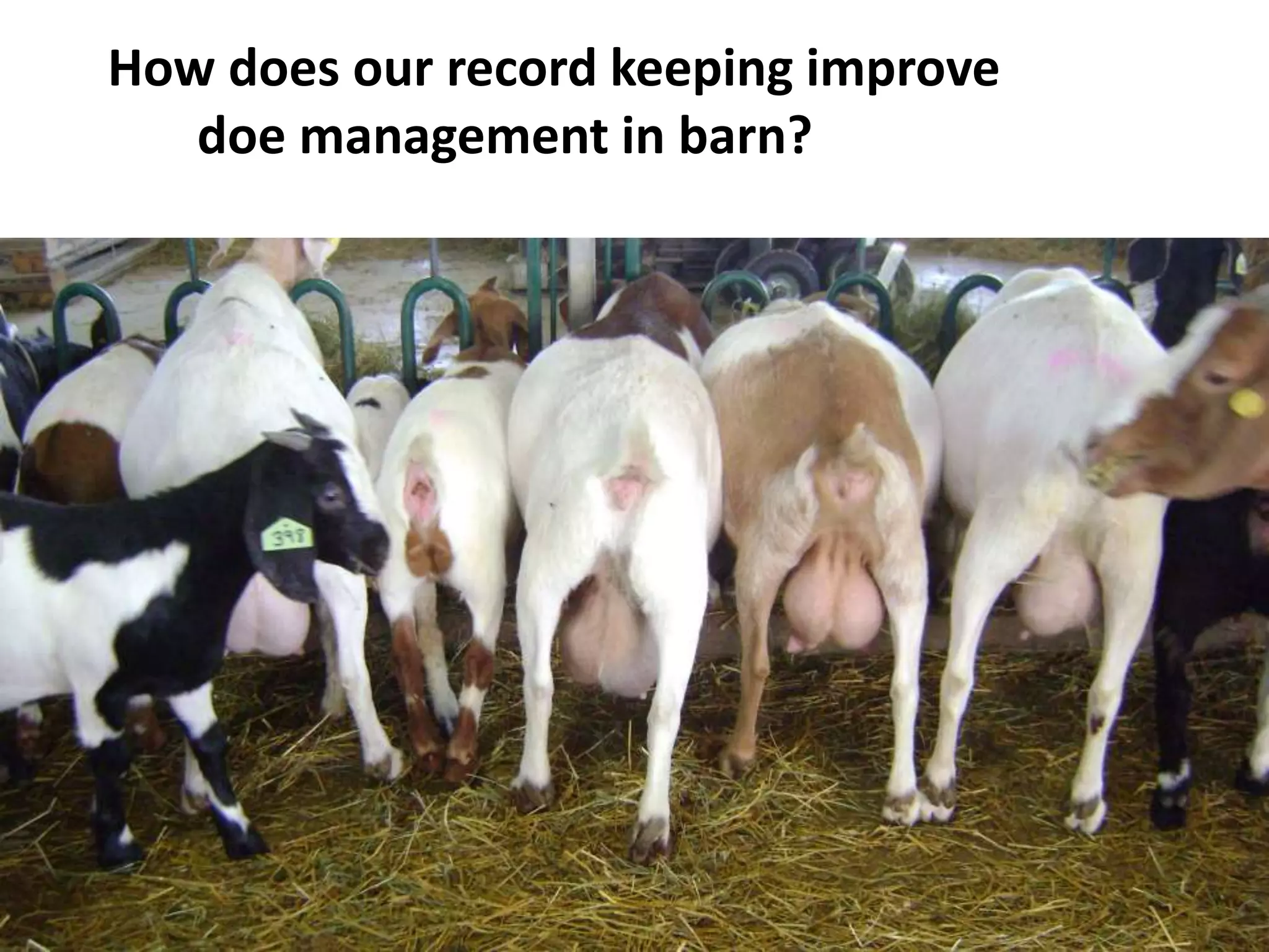 How does our record keeping improve
doe management in barn?
 