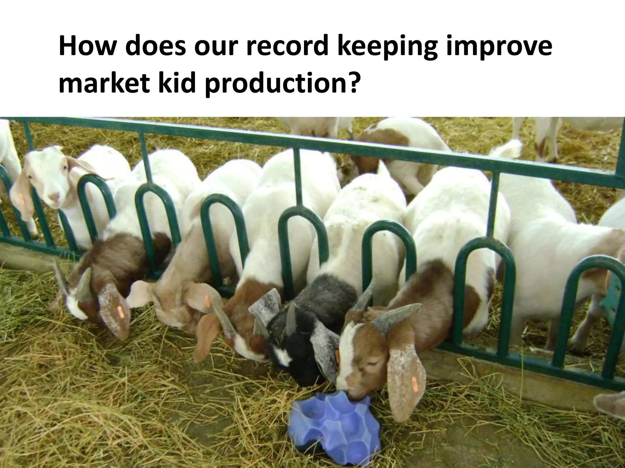 How does our record keeping improve
market kid production?
 