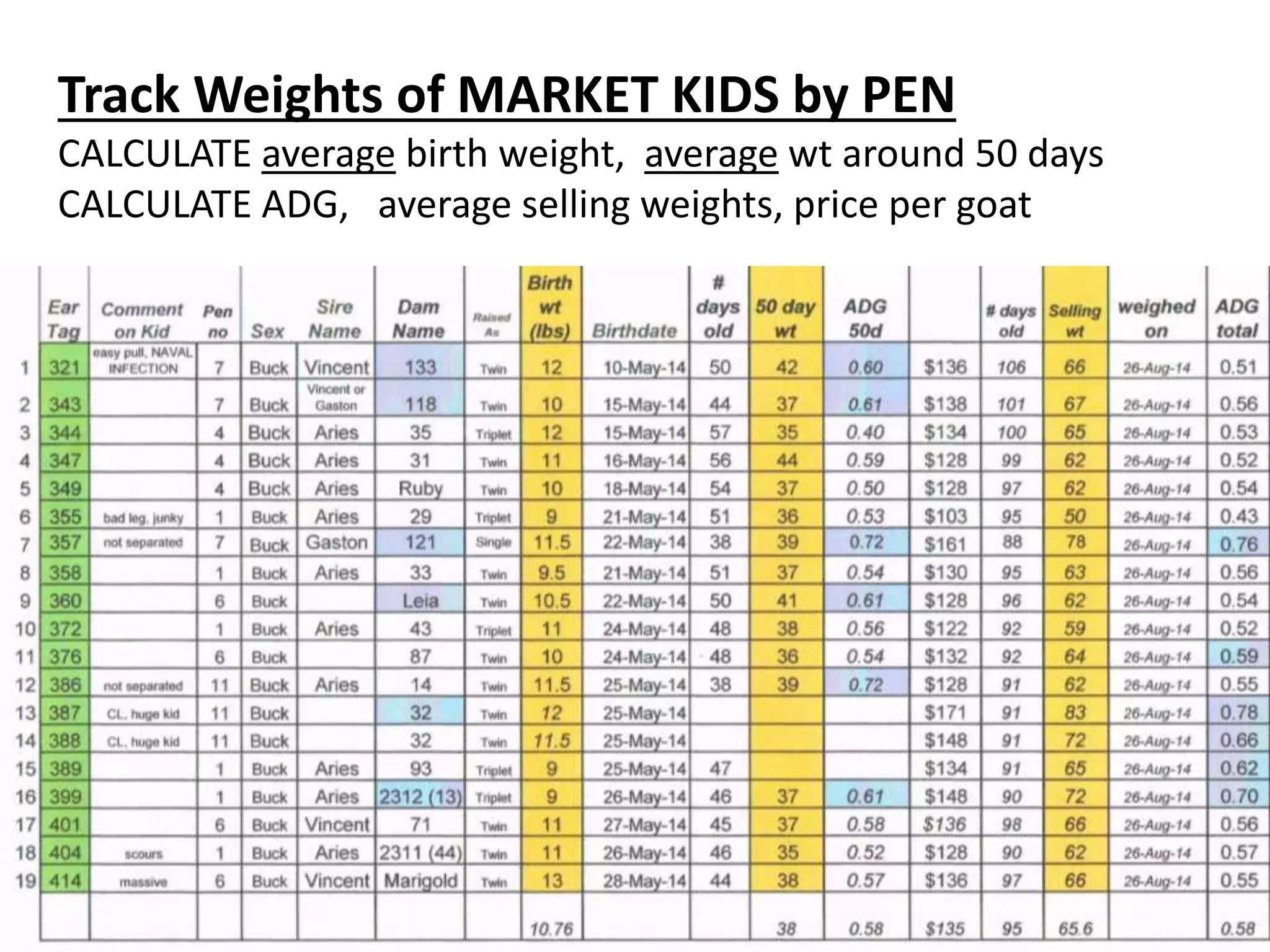 Track Weights of MARKET KIDS by PEN
CALCULATE average birth weight, average wt around 50 days
CALCULATE ADG, average selling weights, price per goat
 