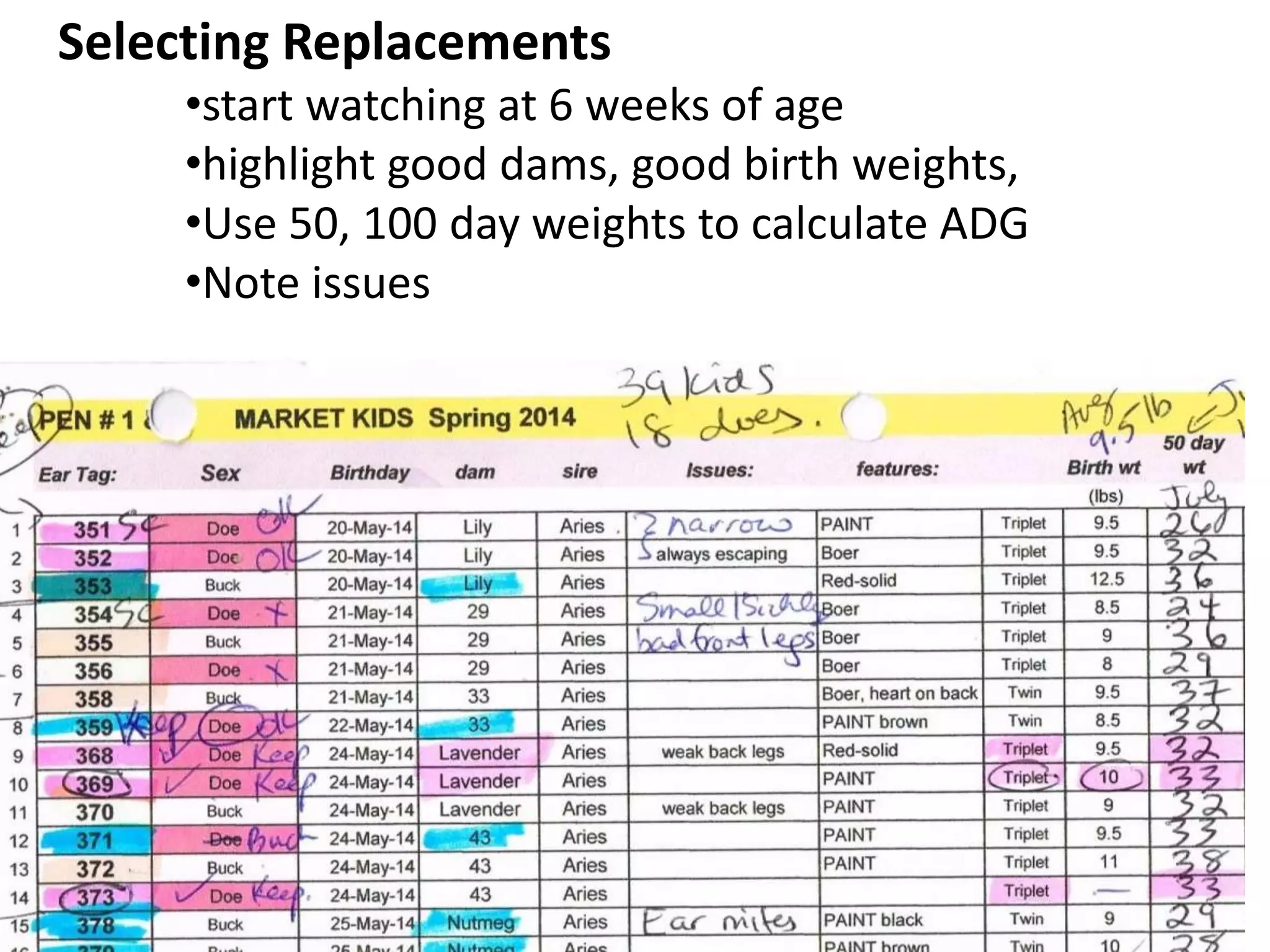 Selecting Replacements
•start watching at 6 weeks of age
•highlight good dams, good birth weights,
•Use 50, 100 day weights to calculate ADG
•Note issues
 