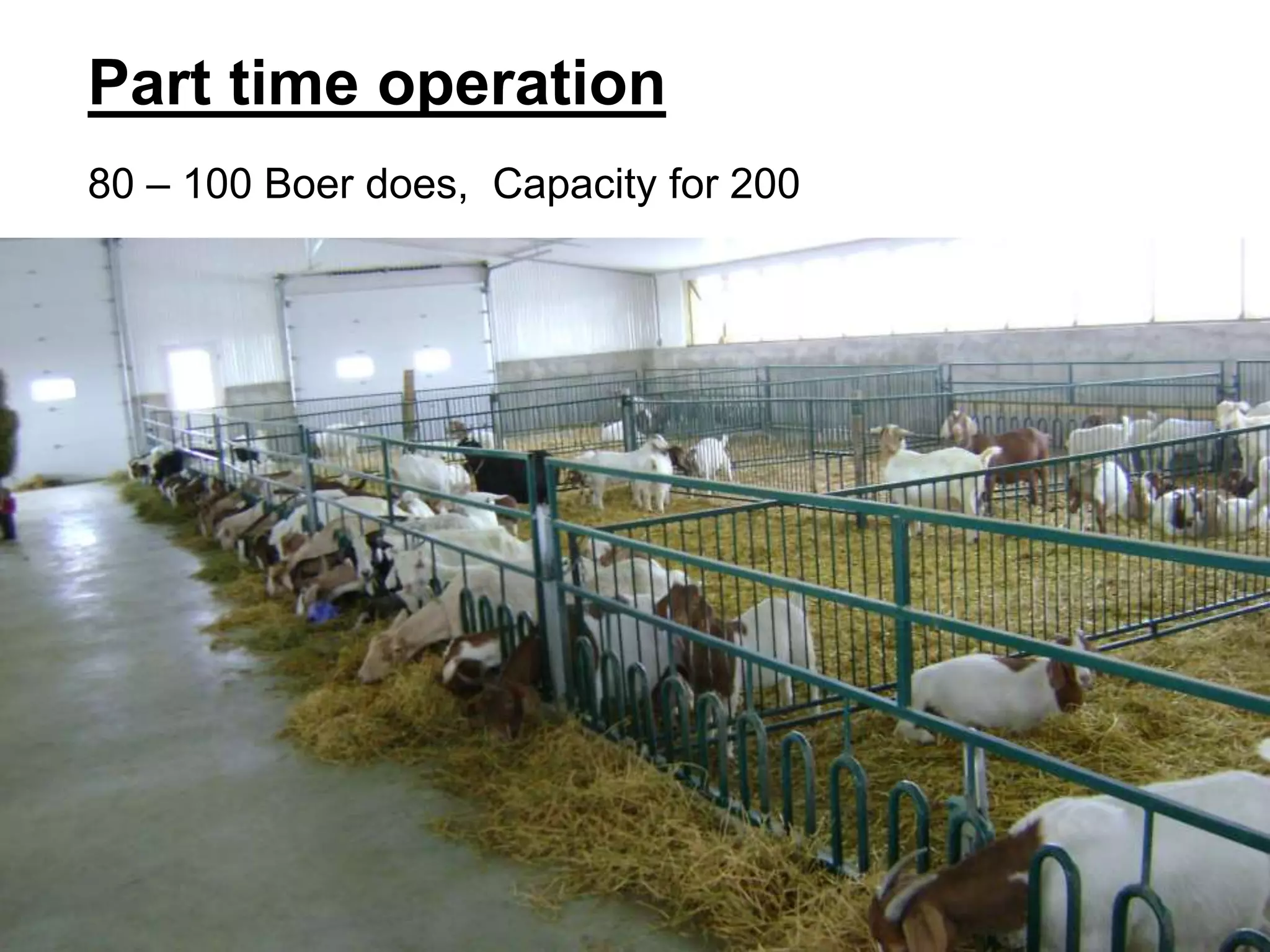 Part time operation
80 – 100 Boer does, Capacity for 200
 