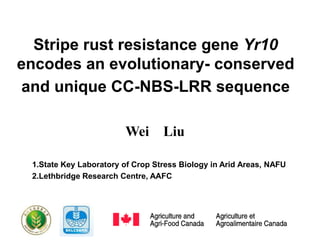 Stripe rust resistance gene Yr10
encodes an evolutionary- conserved
 and unique CC-NBS-LRR sequence

                        Wei Liu

 1.State Key Laboratory of Crop Stress Biology in Arid Areas, NAFU
 2.Lethbridge Research Centre, AAFC
 