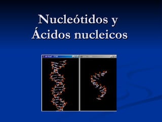 Nucleótidos y  Ácidos nucleicos 