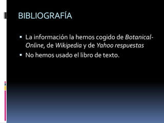 BIBLIOGRAFÍA
 La información la hemos cogido de Botanical-
Online, de Wikipedia y de Yahoo respuestas
 No hemos usado el libro de texto.
 