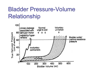 Pressure Testing Bladder An-Approach-to-Clinical-Problem-Solving.ppt