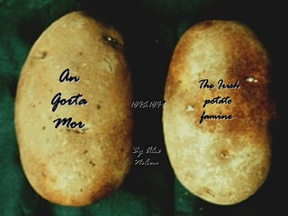 An Gorta Mor The Irish potato famine  1845-1849 By Alex Nelson 