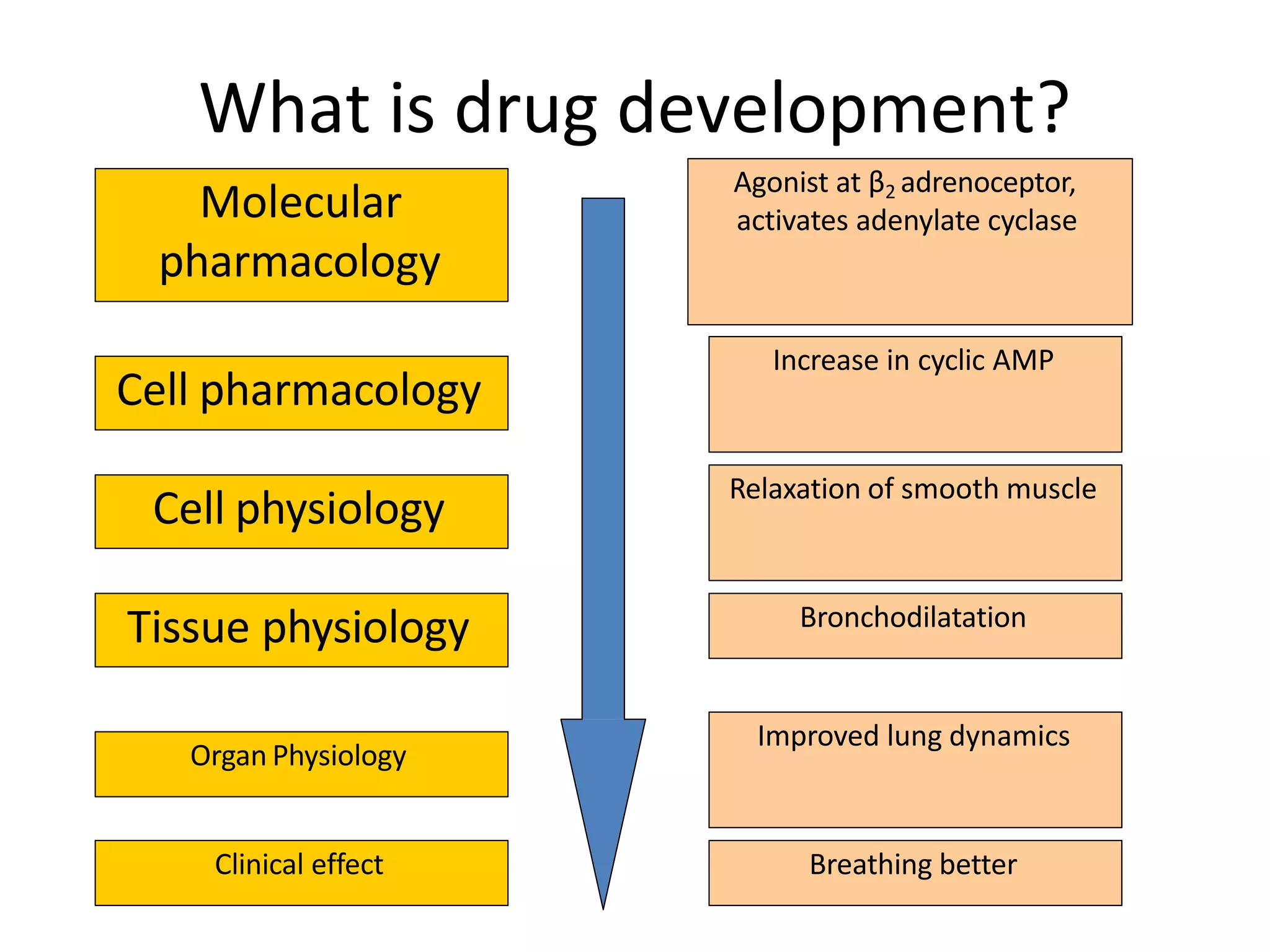 What is drug development?
Molecular
pharmacology
Cell physiology
Cell pharmacology
Tissue physiology
Clinical effect
Organ Physiology
Agonist at β2 adrenoceptor,
activates adenylate cyclase
Increase in cyclic AMP
Relaxation of smooth muscle
Bronchodilatation
Improved lung dynamics
Breathing better
 