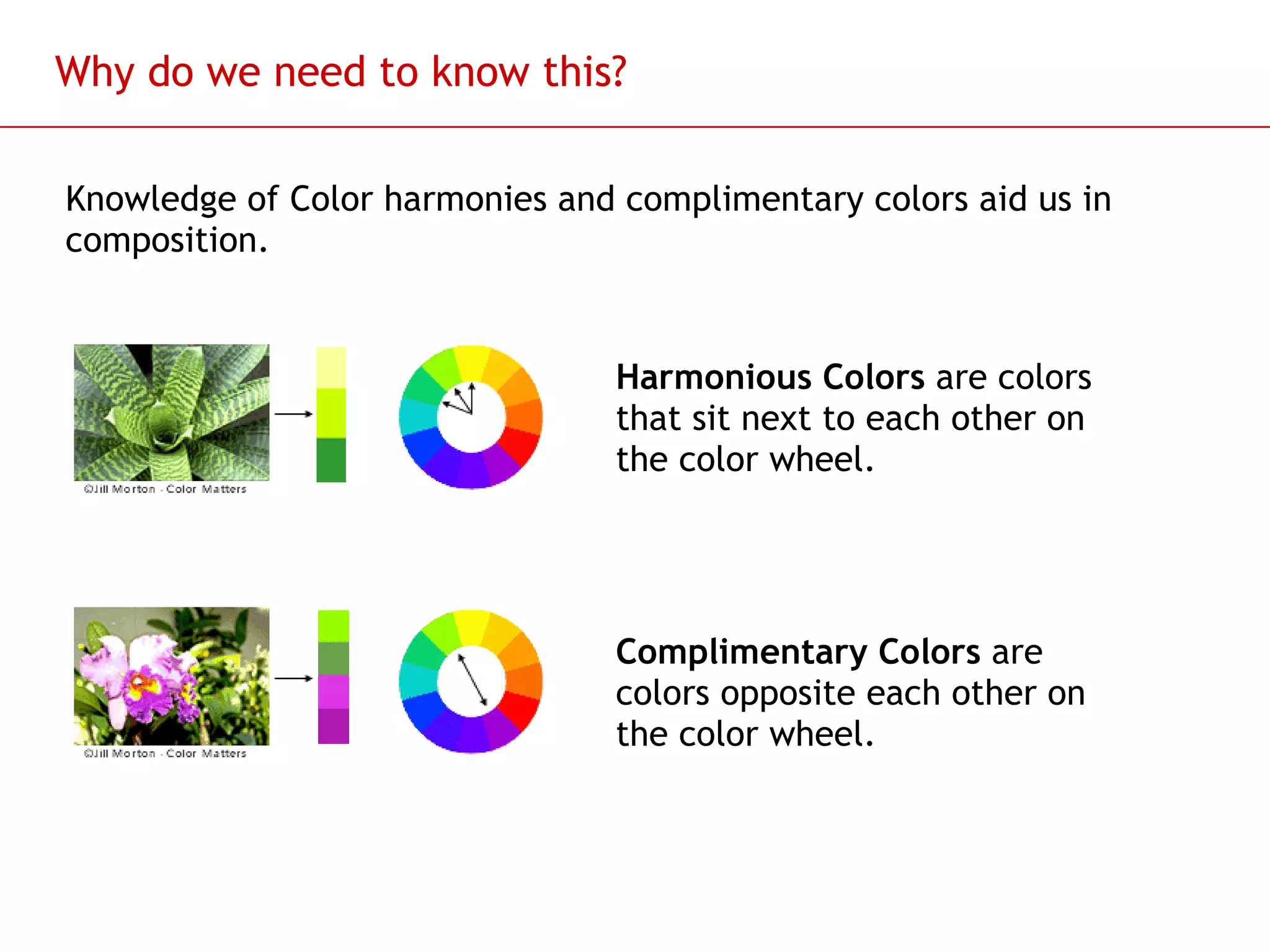 Why do we need to know this? Knowledge of Color harmonies and complimentary colors aid us in composition. Harmonious Colors  are colors that sit next to each other on the color wheel.  Complimentary Colors  are colors opposite each other on the color wheel. 
