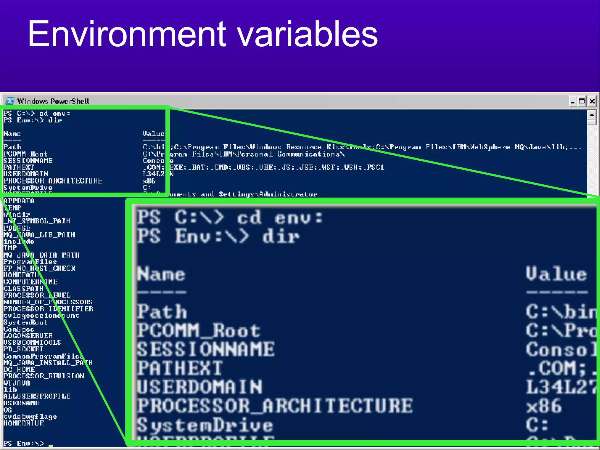 Environment variables 