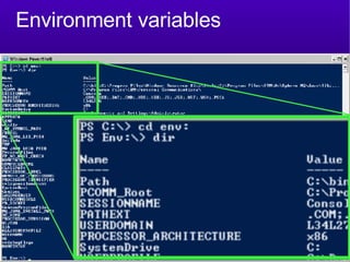 Environment variables 