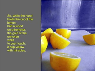 So, while the hand holds the cut of the lemon, half a world on a trencher, the gold of the universe wells to your touch: a cup yellow with miracles, 